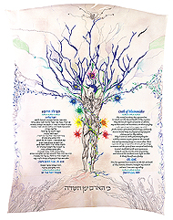 Creation Life Energy